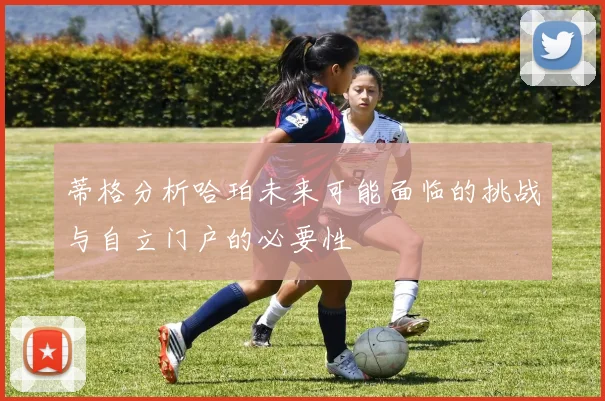 蒂格分析哈珀未来可能面临的挑战与自立门户的必要性